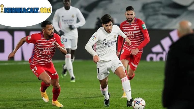 y-nghia-cua-keo-la-liga